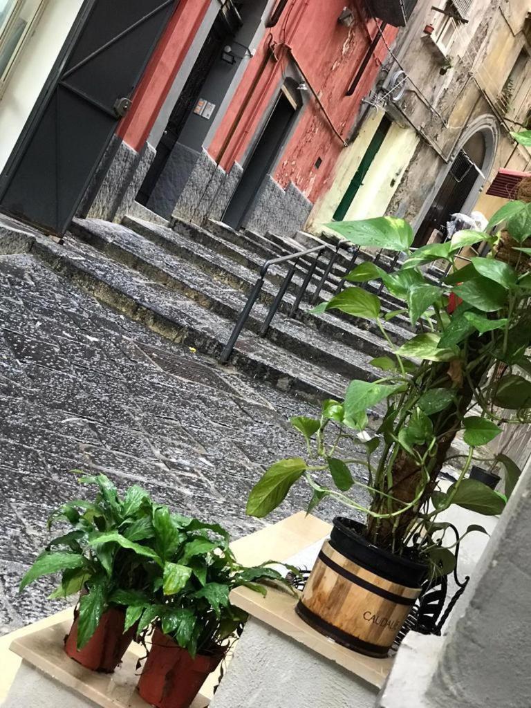 Casa Mari' Centro Storico Vicino Hotel Caracciolo Naples Exterior photo